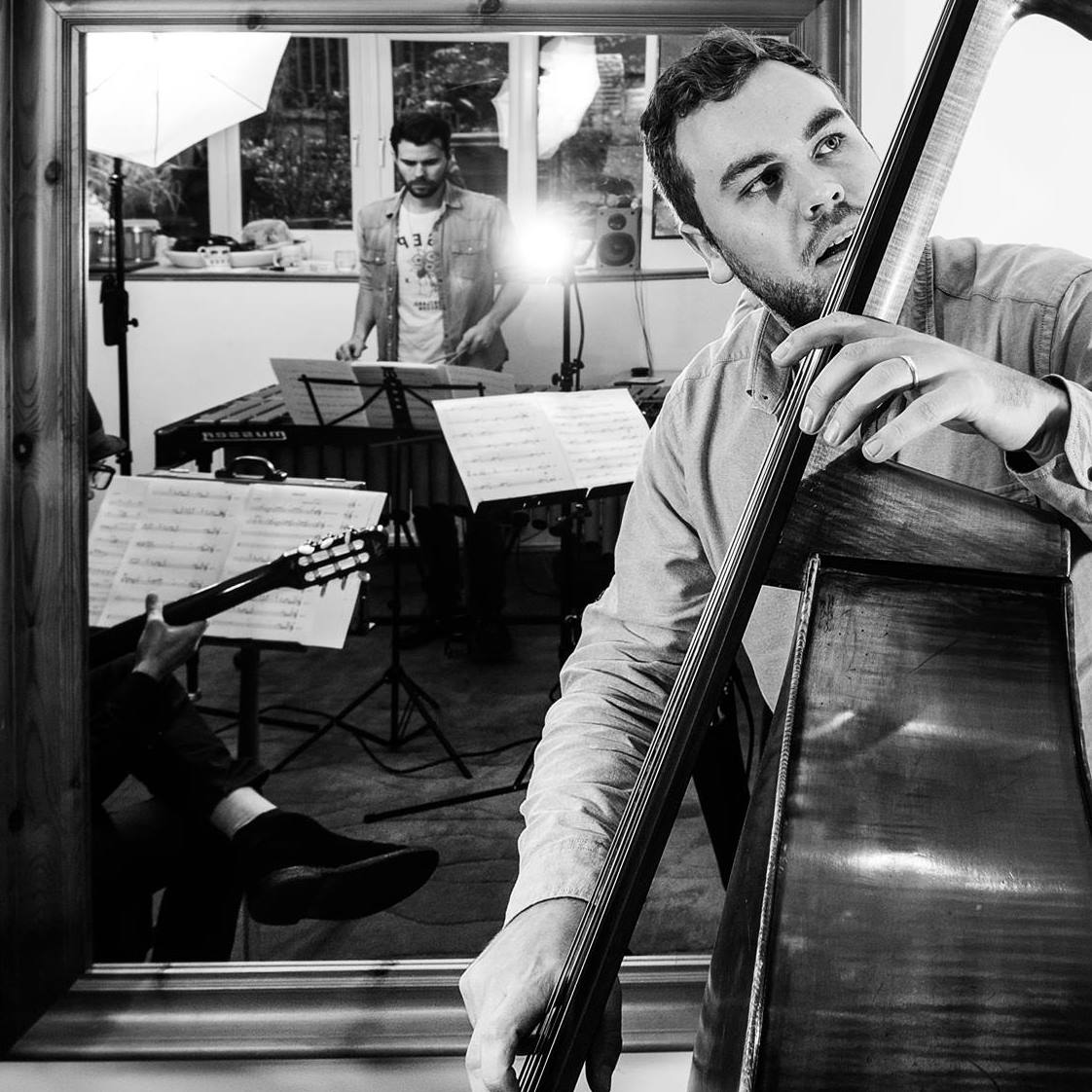 Tim Thornton Bassist