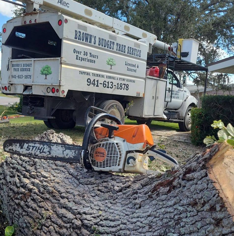 Brown's Budget Tree Service