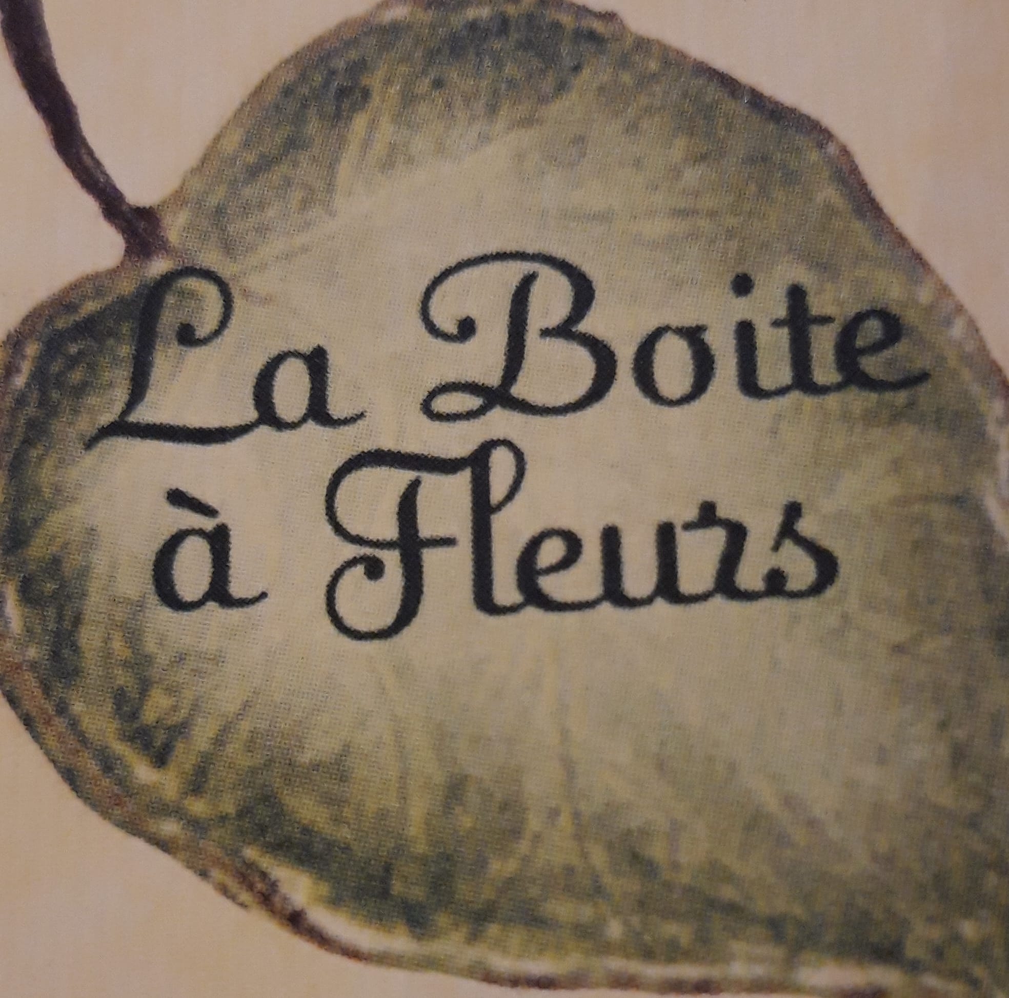 Que devient une forêt d’épicéas détruite par un insecte ? 🌲 Au Saut de ...