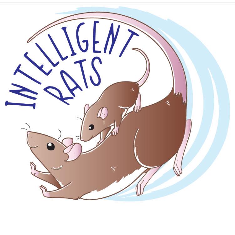 Intelligent Rats | Three Rivers MI