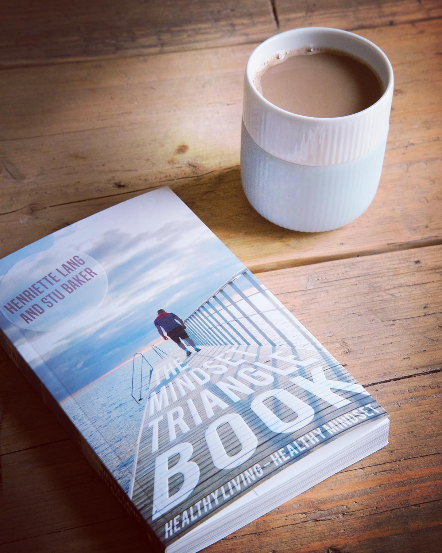 The Mindset Triangle Book - If you need a lunchtime pick me up this ...