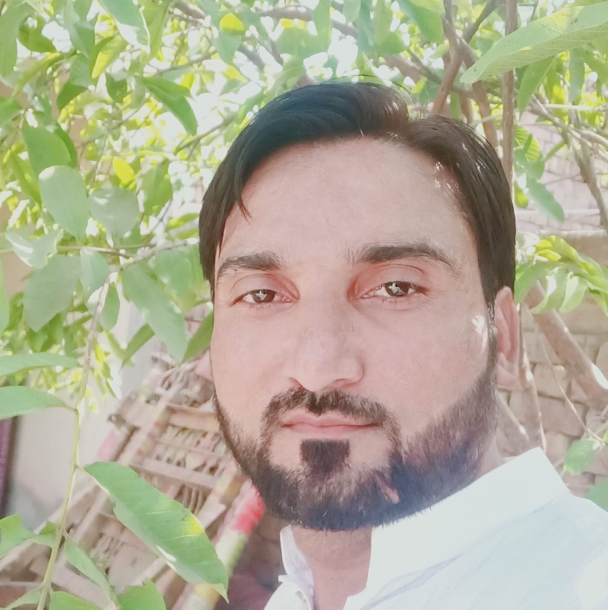 ijaz-bhatti