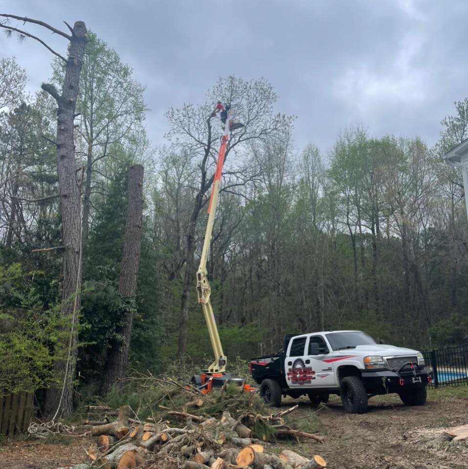 Cutting Edge Stump Grinding & Tree Removal LLC