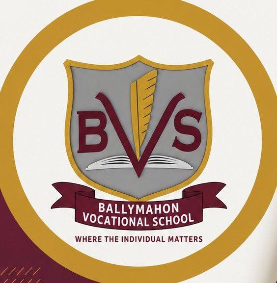♟♟A BIG ‘Thank You’ to... - Ballymahon Vocational School | Facebook