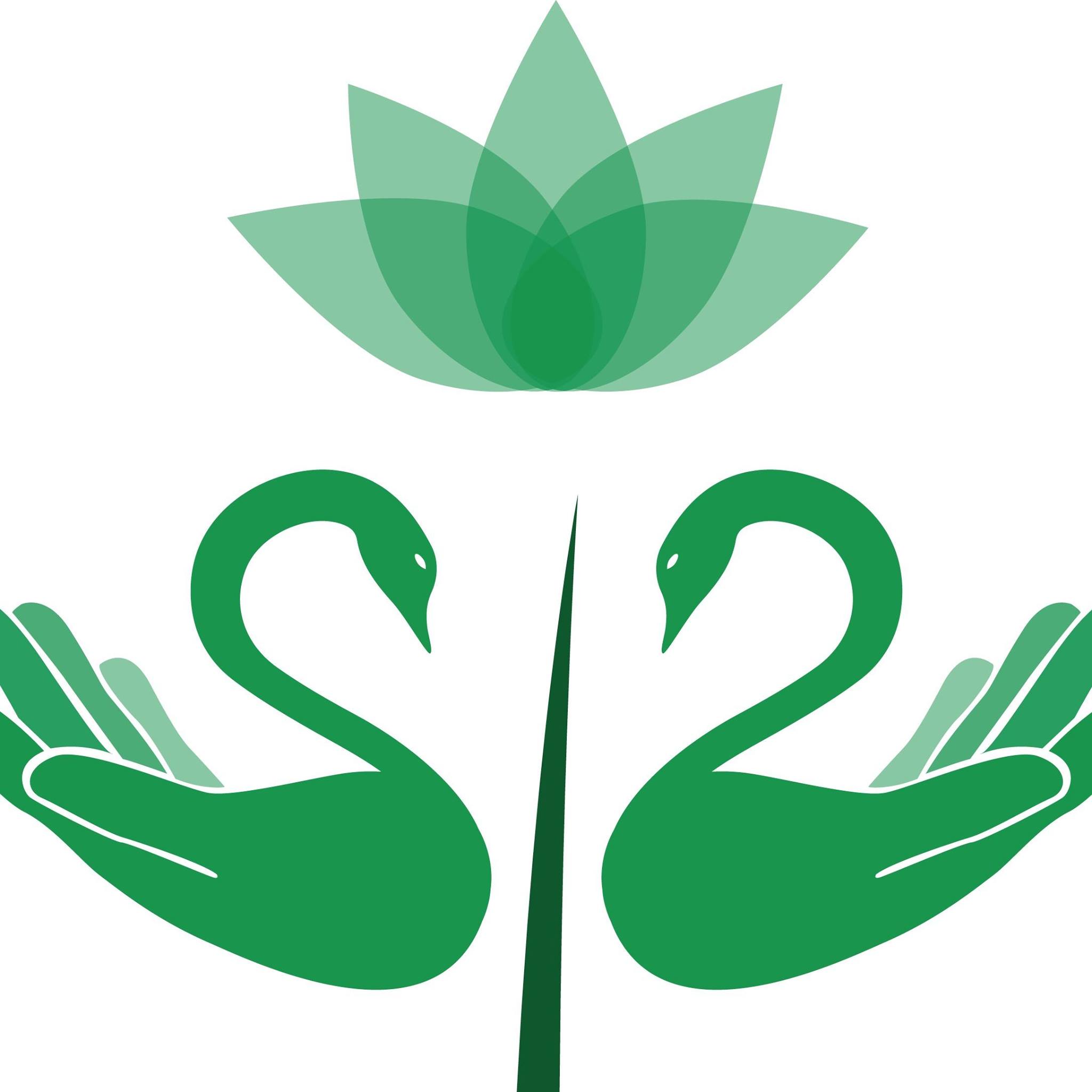 Oriental Massage Lakeland Reviews