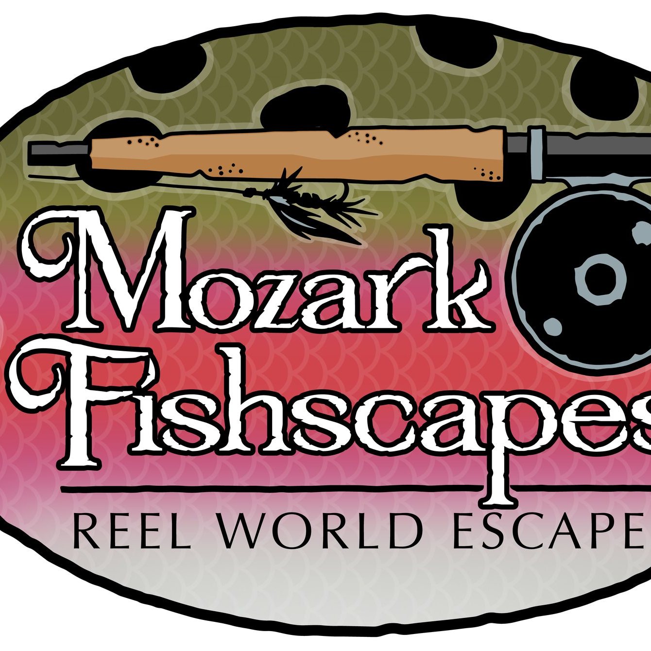 Fly Fishing Minnesota | Fishing familiar water today, catching three ...