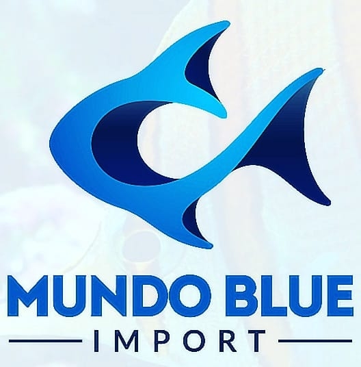 Mundo Blue Import