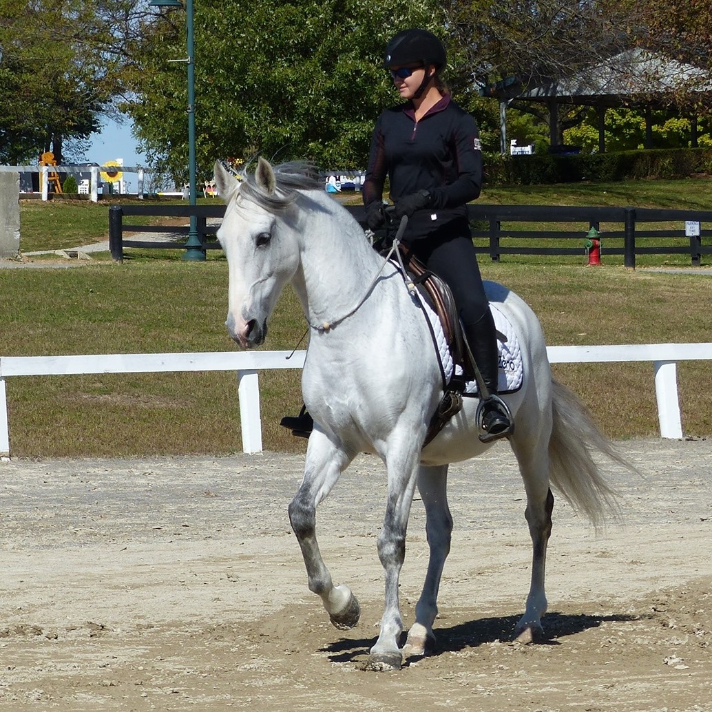 CPW Equine Development | Danville KY