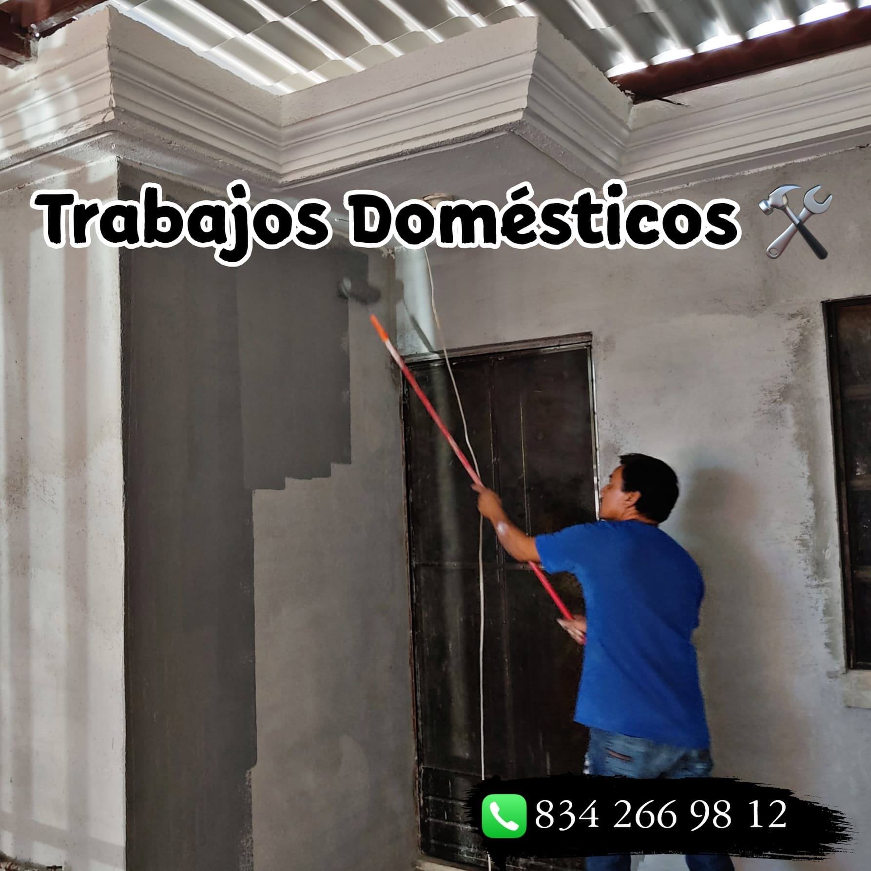 Trabajos domesticos