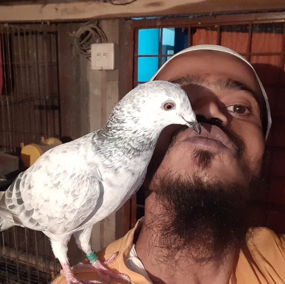 Ismail Pigeon House