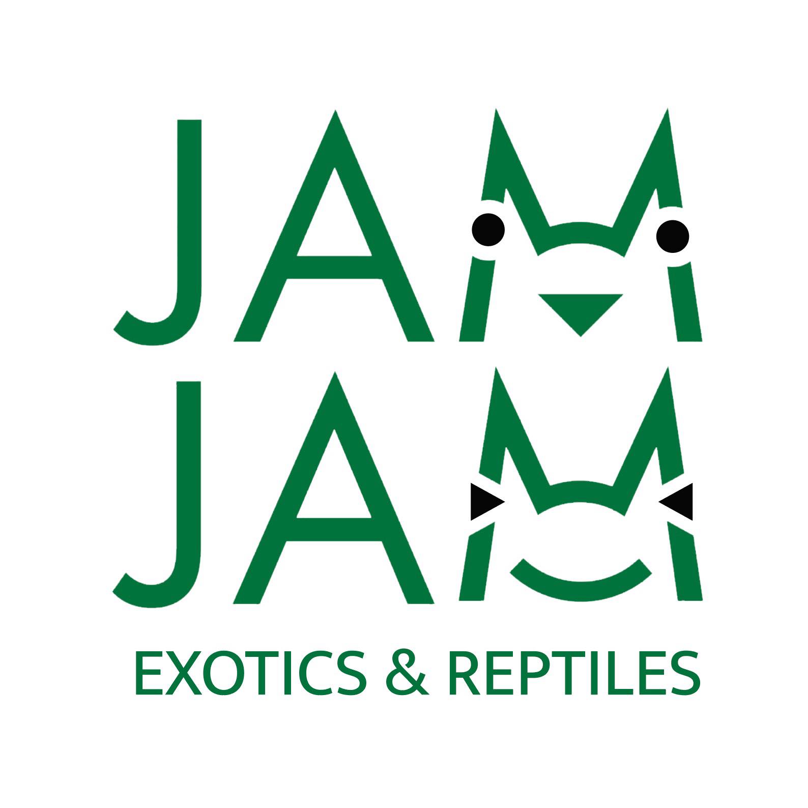 Rain Frog Predators and Prey