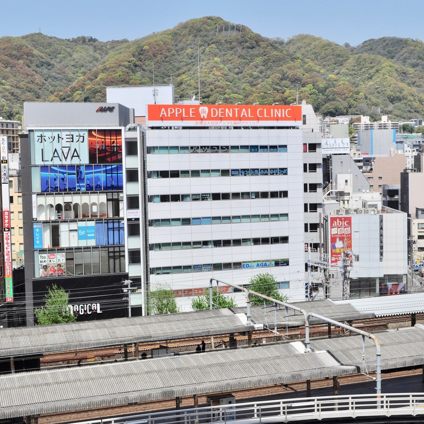 活動歴および当時の関連ビジュアル記録