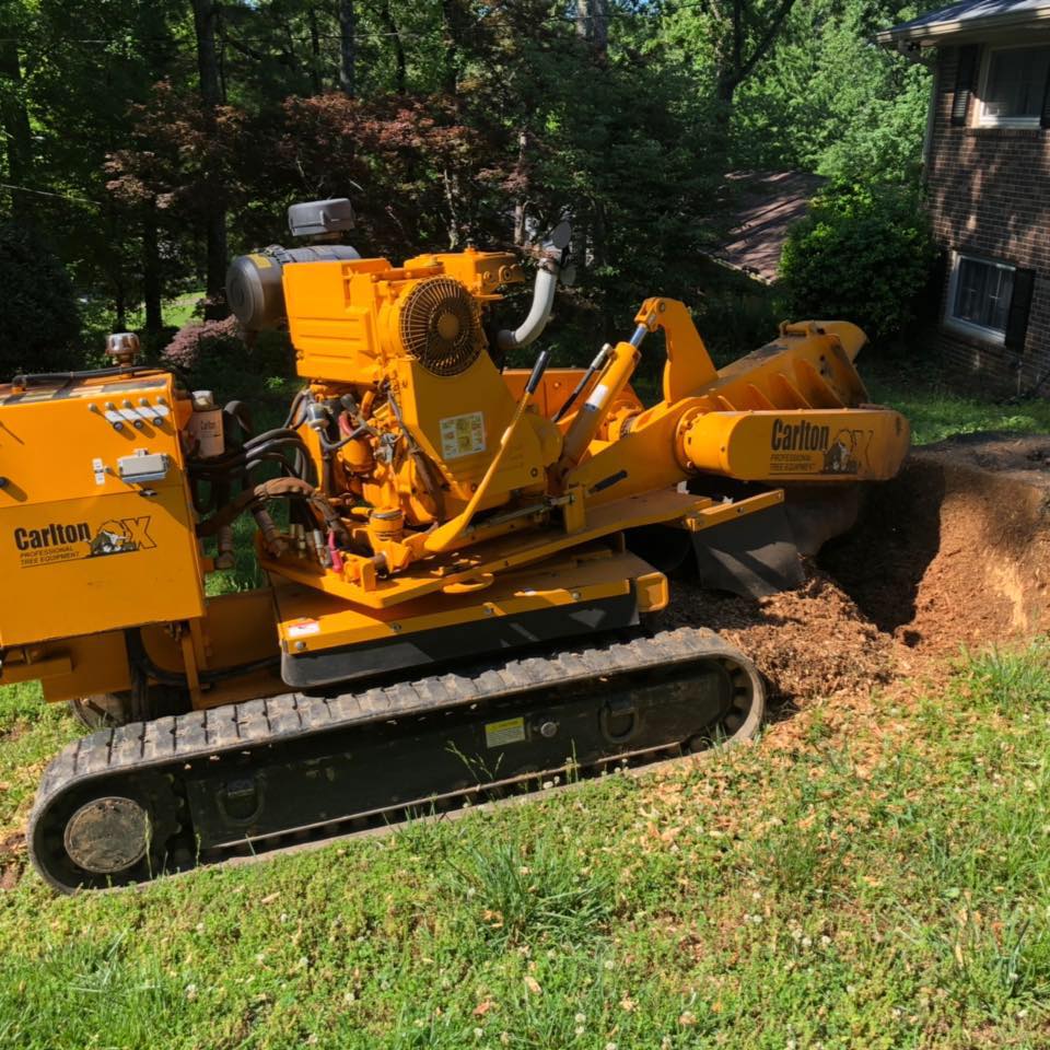 GA 400 Tree & Stump Removal / Land Services | Dawsonville GA