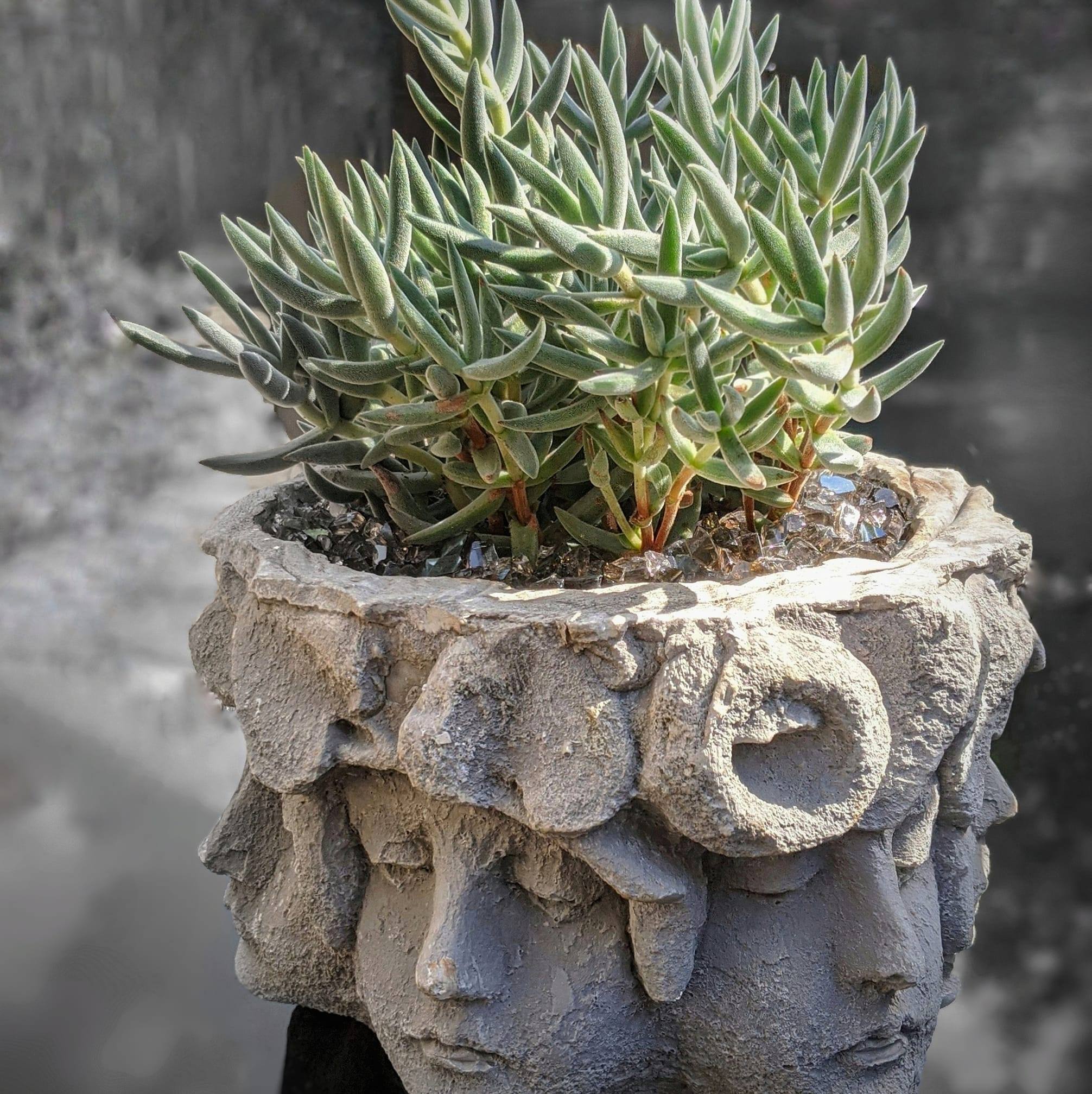 The Glass Roots Co.