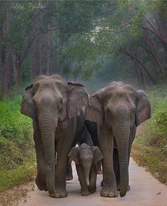 තුන් පත් රෑන - Thun Path Rena
