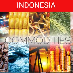 Komoditi Indonesia