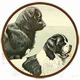 TwoNewfs Publishing