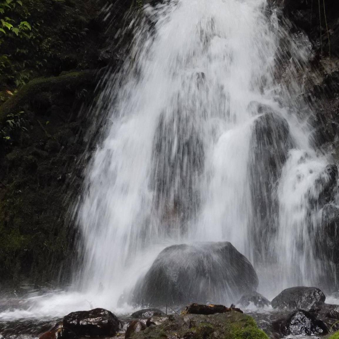 Taman Wisata Alam Ruteng | Ruteng