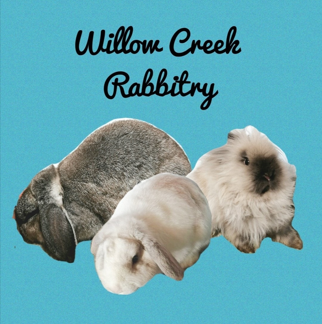 Willow Creek Rabbitry