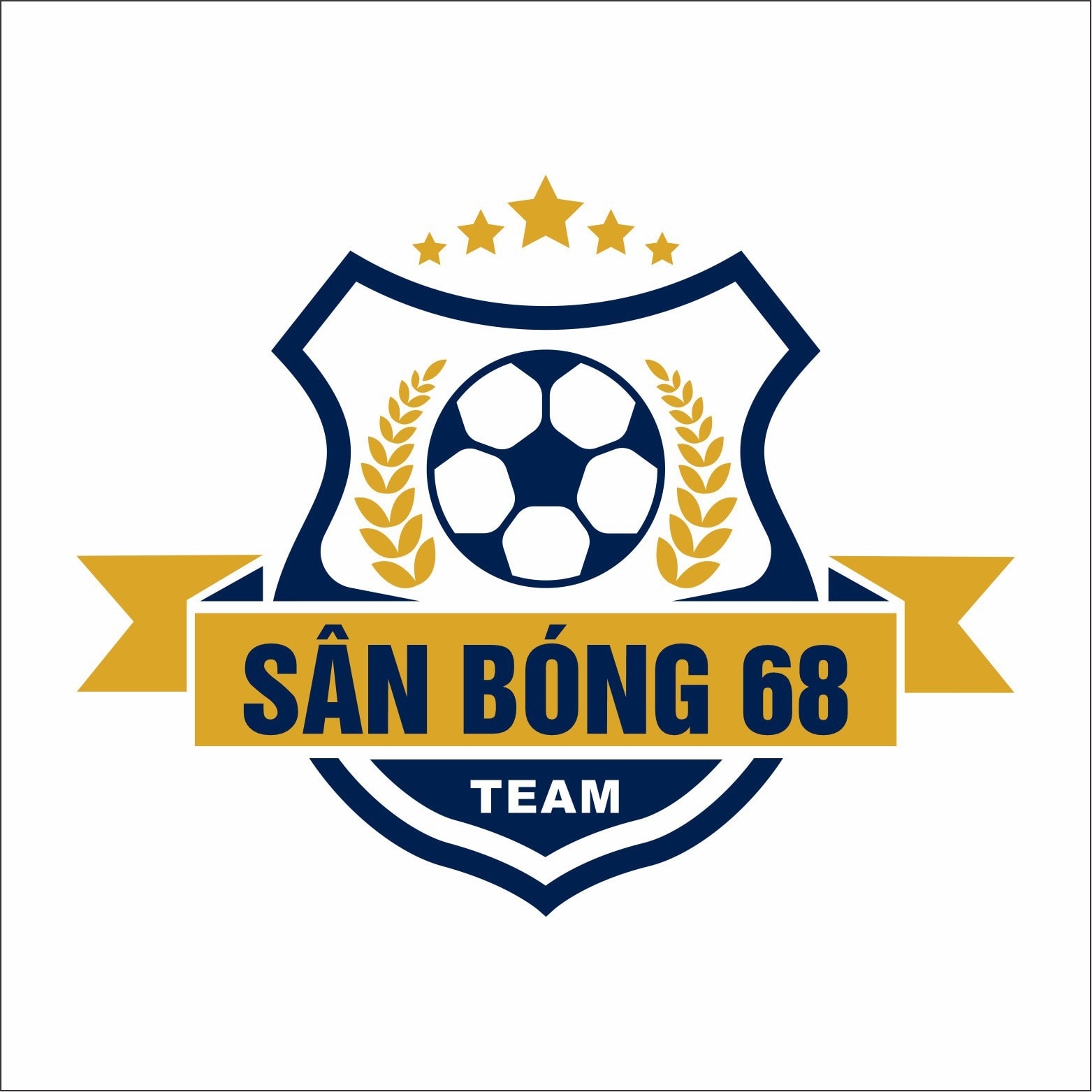 Sân bóng đá nhân tạo 68
