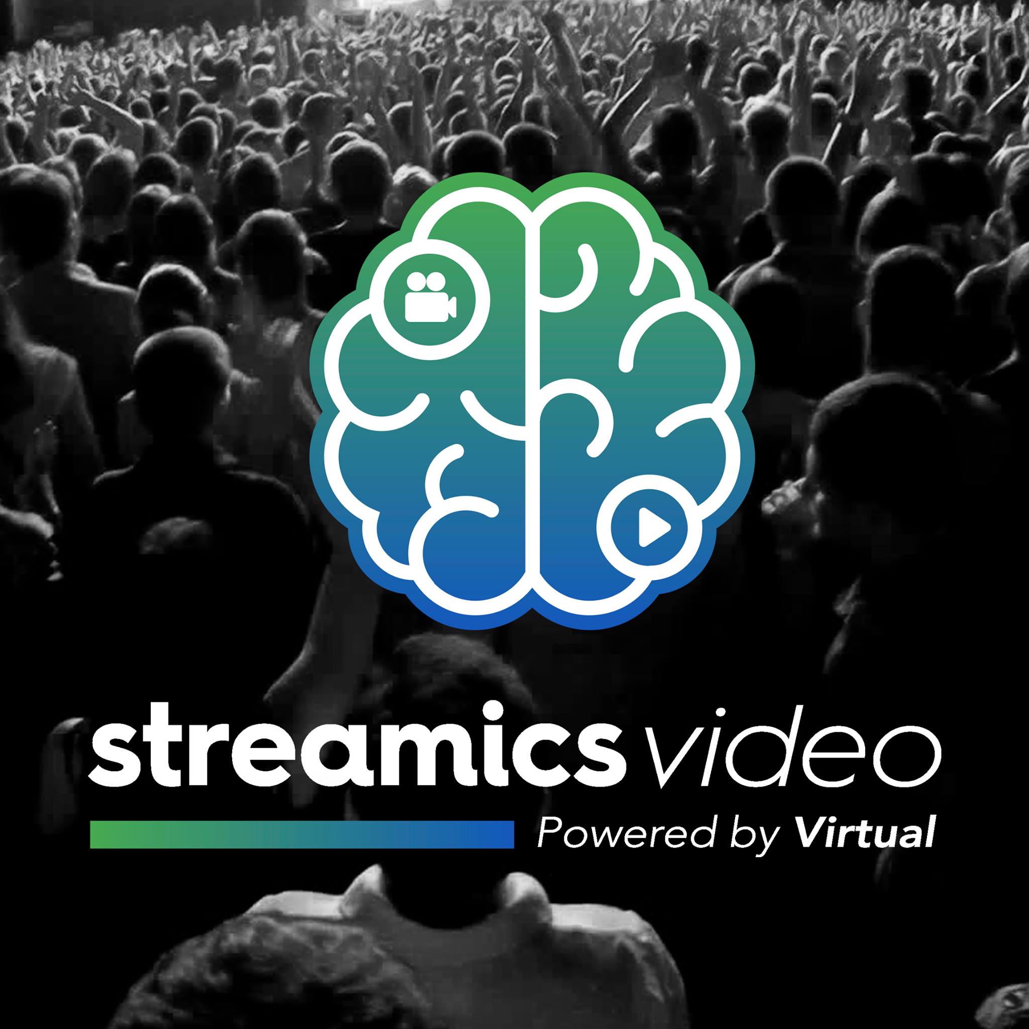 Virtual Media Group