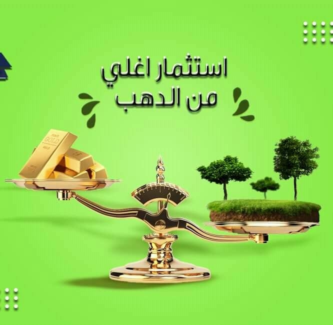 مال وأعمال وإستثمار