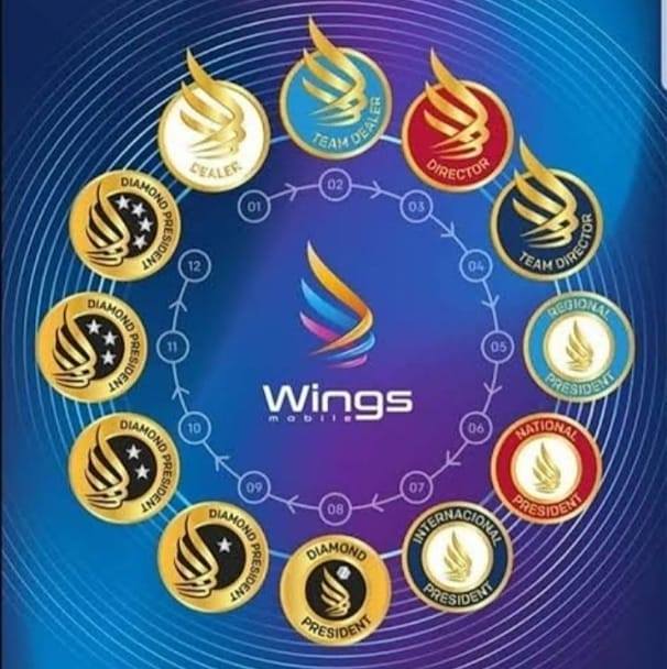 Logotipo De Maswings Profil Von Night Wings MF