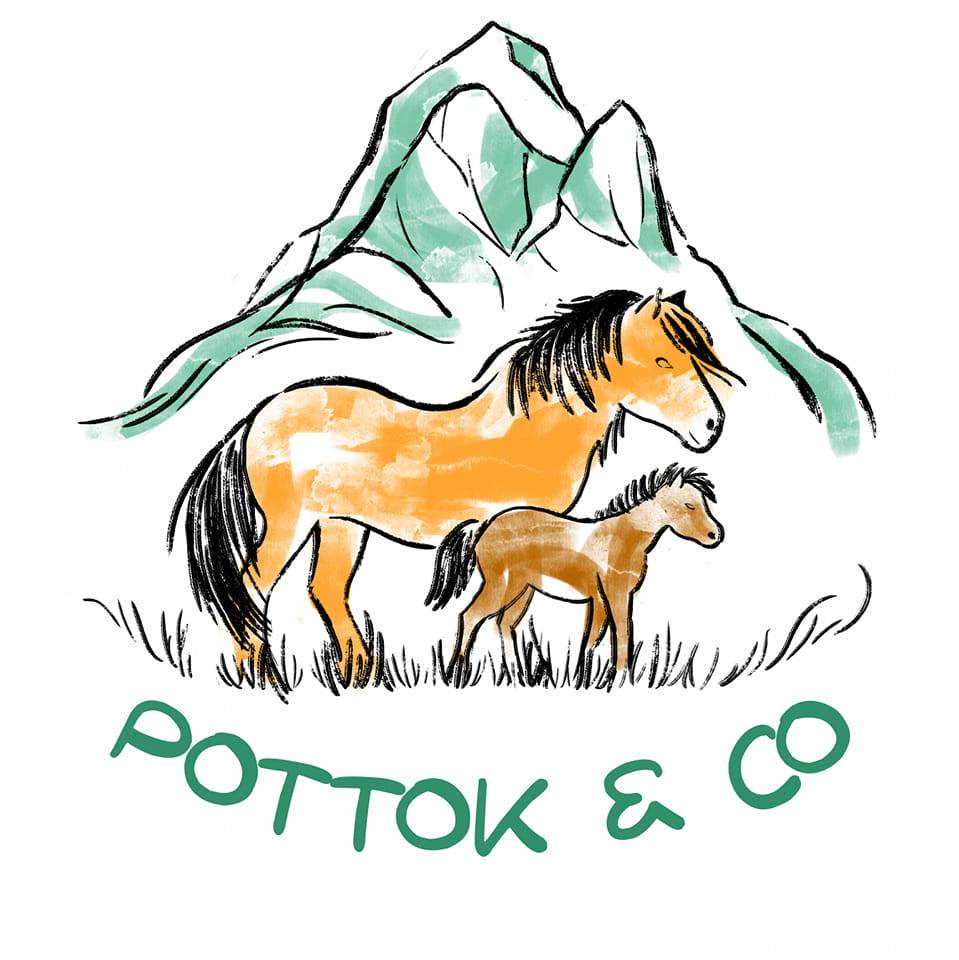 Autocollant Déco Cheval Pottok Basque Avec Logo 64 — Sticker Adhésif Pour Voiture, Casque, Ordinateur