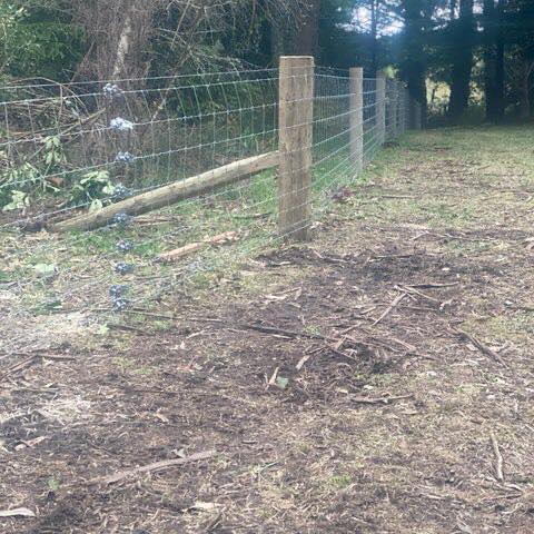 Locke fencing