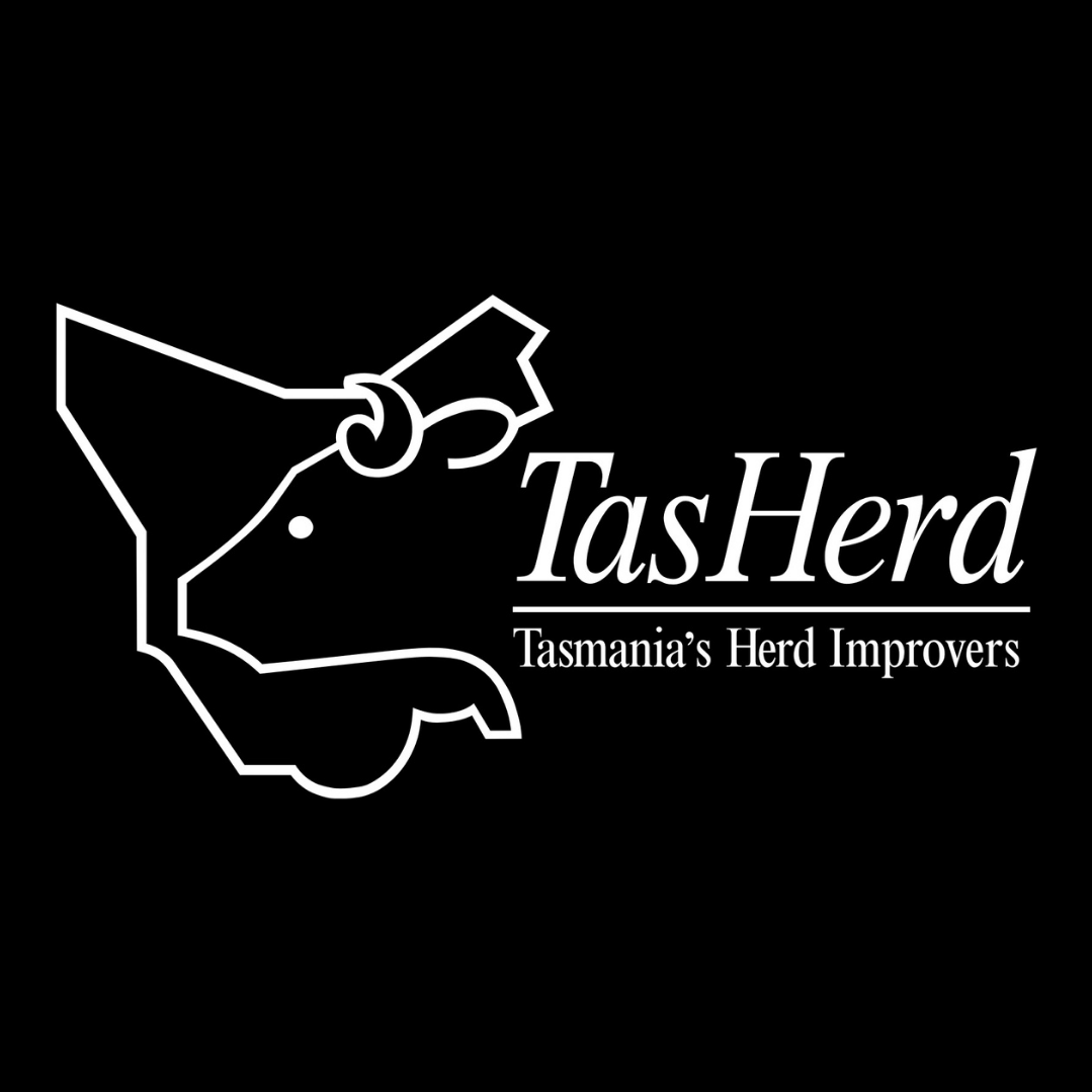 TasHerd | Hadspen TAS