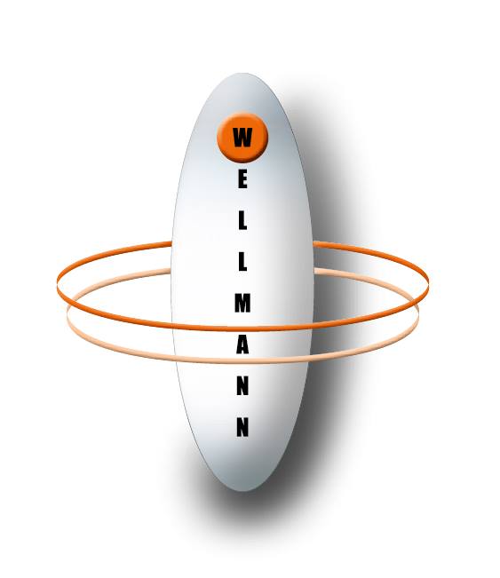 Wellmann GmbH & Co.KG | Arnsberg