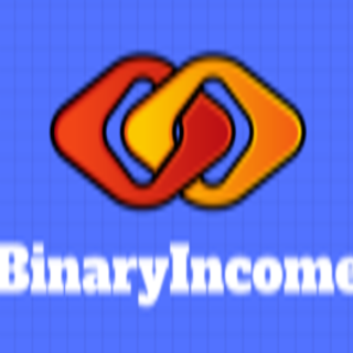 Binary Income Group | Paris