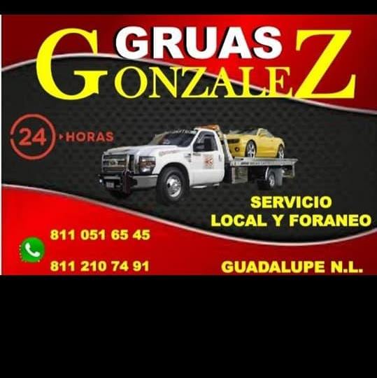 Gruas y Mudanzas GZZ