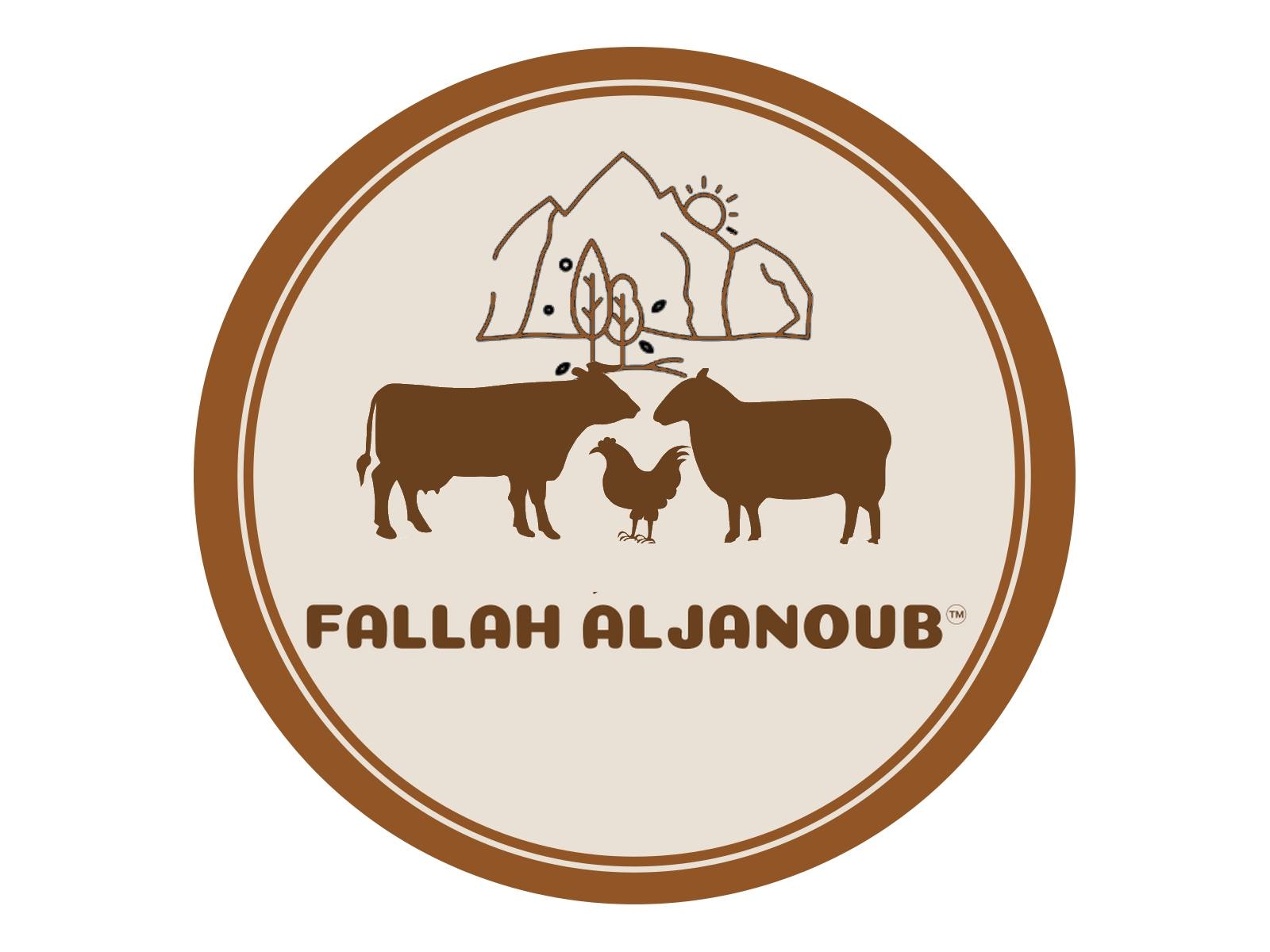 أخبار الأغواط