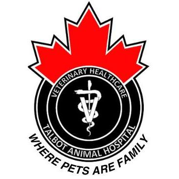 Talbot Animal Hospital | London ON
