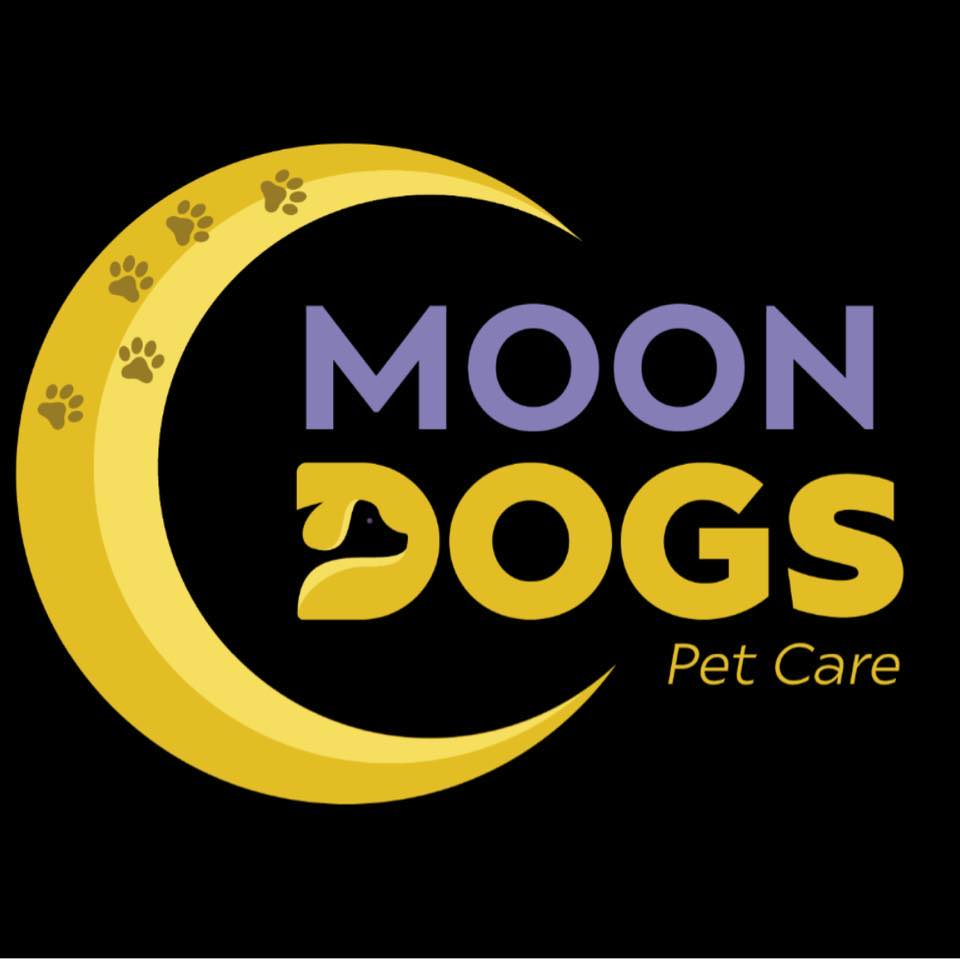 MoonDogs | Harare