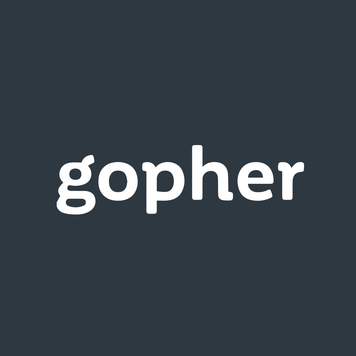 Gopher I.T. Support