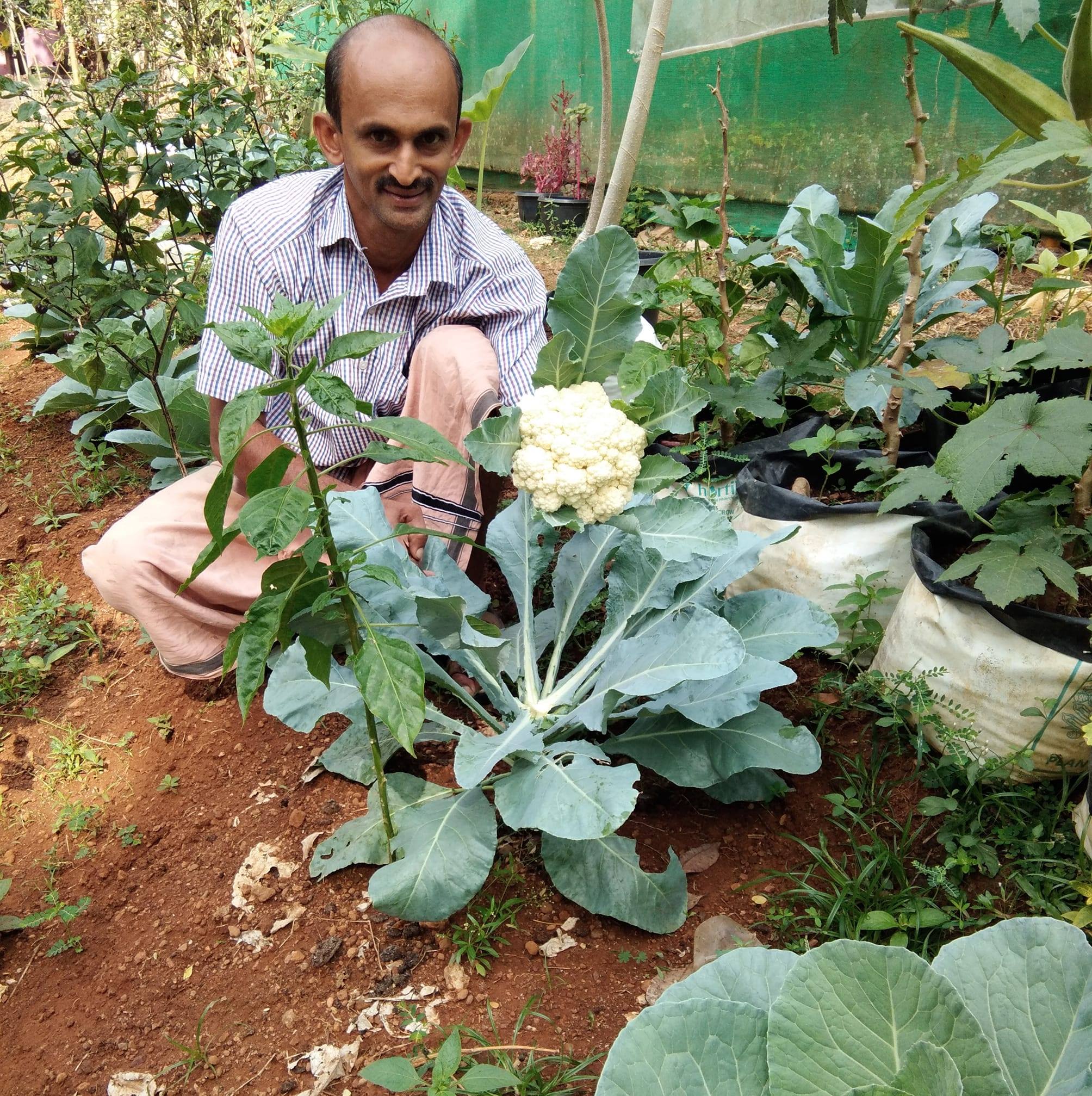 KVR Agriculture Nursery | Pathanamthitta