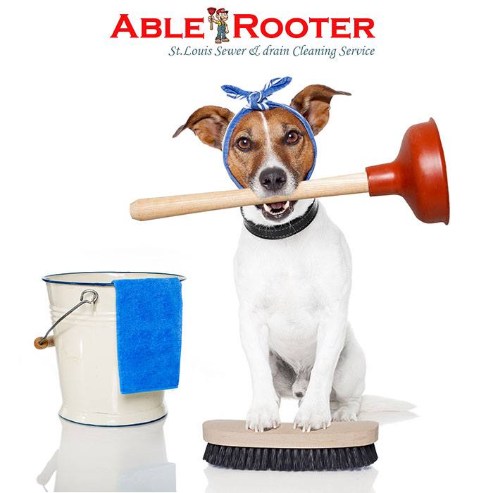 Able Rooter | St. Louis MO