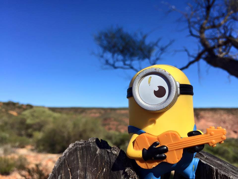 Stuart, the travelling minion (@startthetravellingminion) • Facebook