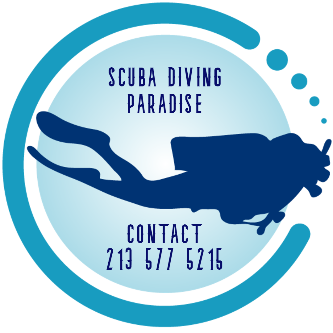 Scuba Diving Paradise Los Angeles - “Dear ocean, thank you for making ...