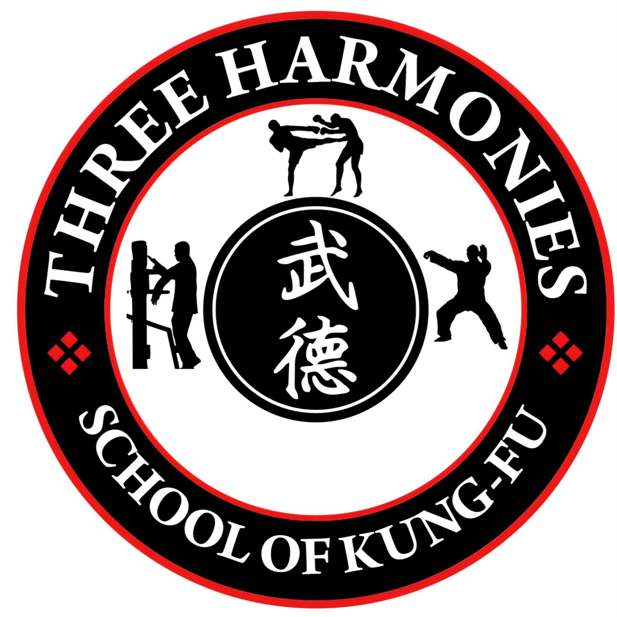 SEED Kung Fu Combat Systems-INDIA