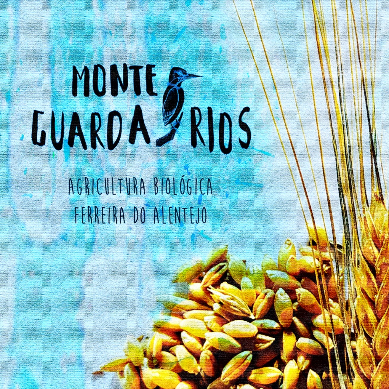 Monte Guarda-Rios