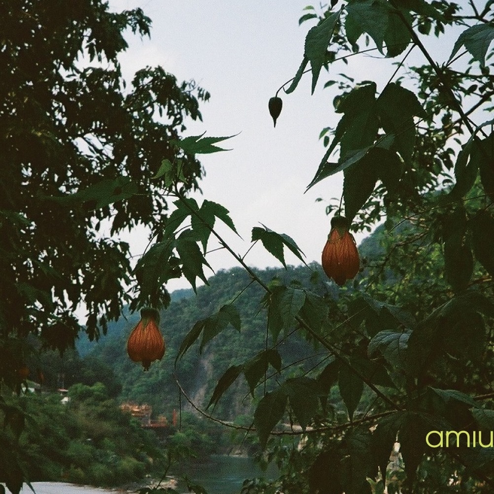Amiu.c (@amiu.c.official) • Facebook