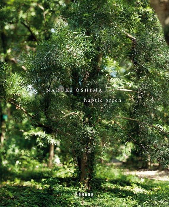 大島成己 / haptic green【プリント付】 大島成己 / haptic green