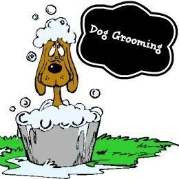 Profile for Delta Veterinary Clinic, Grooming By: Cindy Stevens