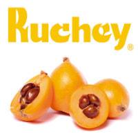 Nísperos Ruchey | Callosa de Ensarriá
