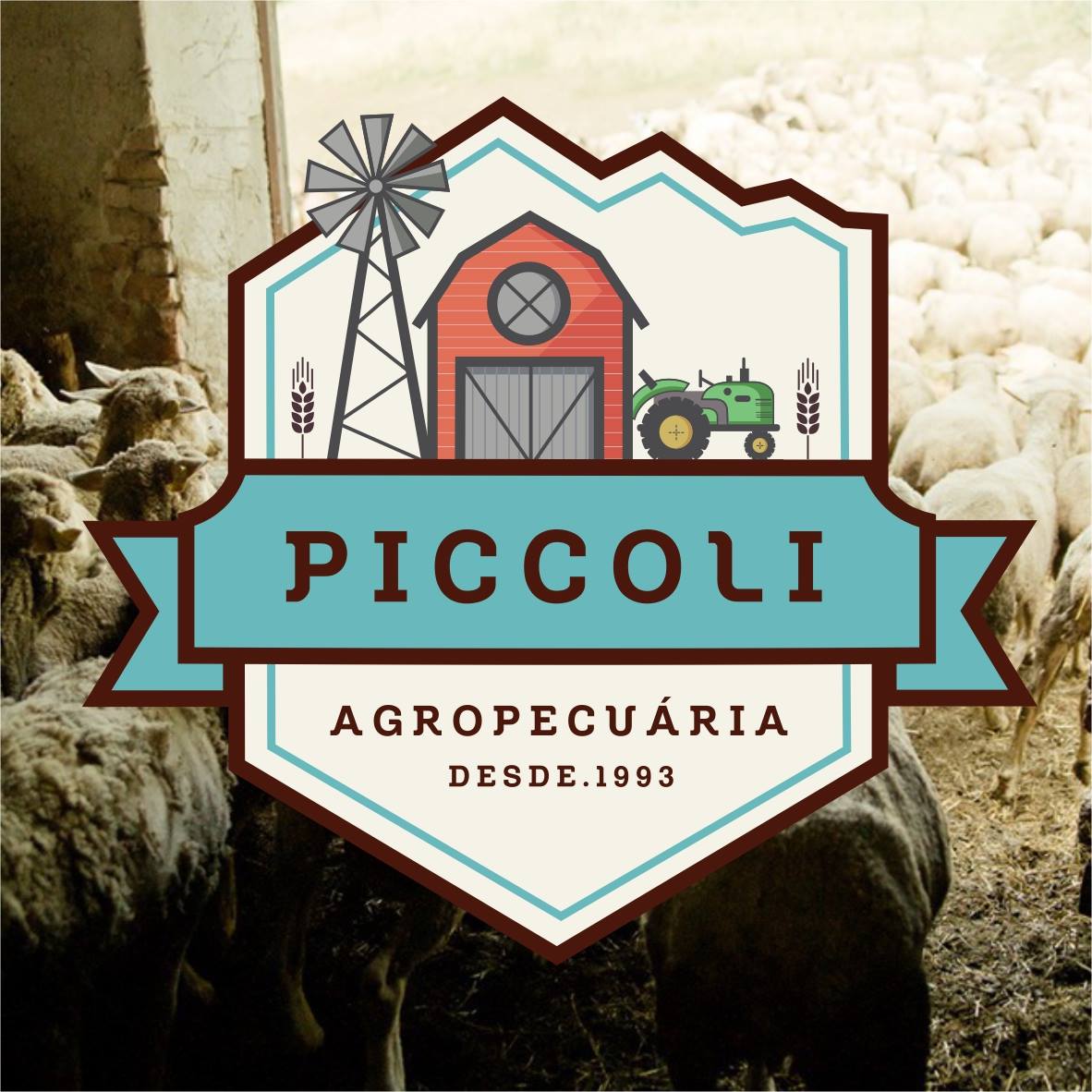 Agropecuária Piccoli Jaraguá do Sul SC
