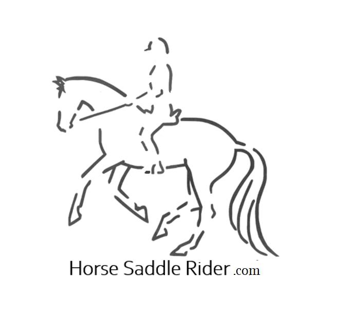Horse Saddle Rider | Harwich