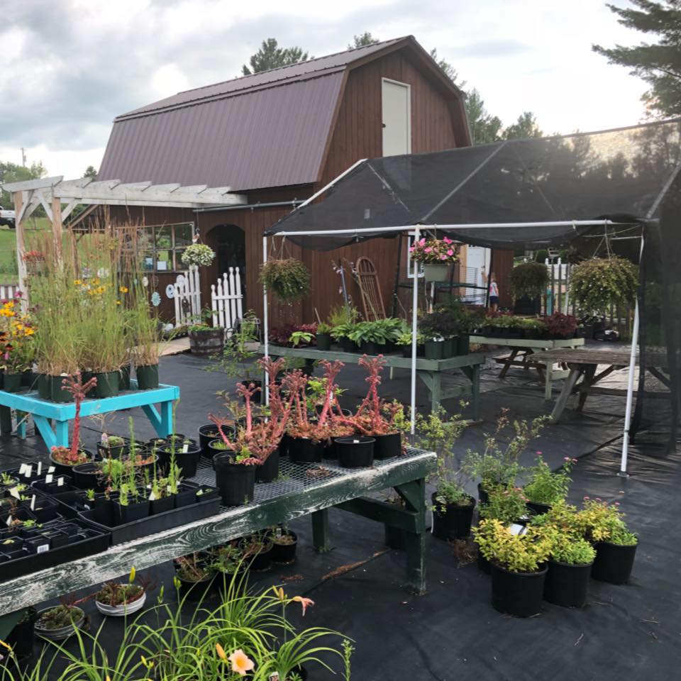 Kindred Gardens & Gifts | Newport VT